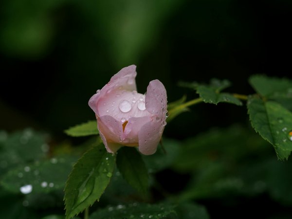 Les secrets d'un panier à linge pratique et design