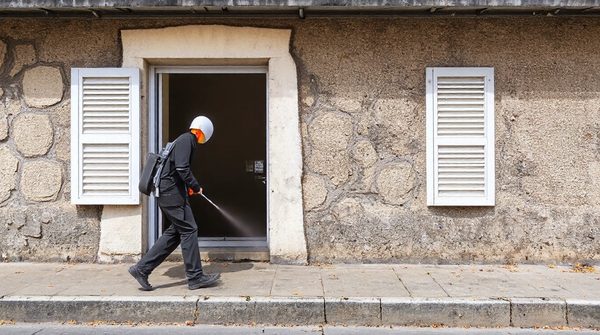 Solutions efficaces pour désinsectisation et dératisation à paris